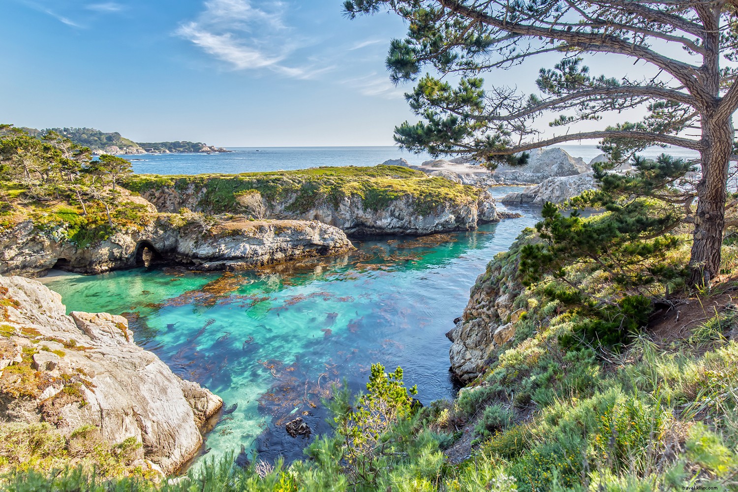 Monterey:donde las fotos de ensueño son incluso mejores en la vida real 
